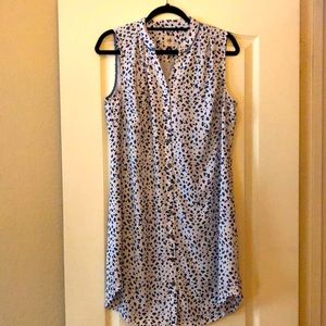 CAbi Shirt Dress